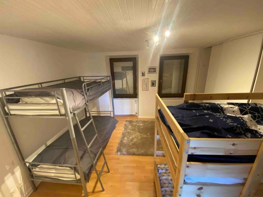 Appartement Émile Gallé. Goetzenbruck Extérieur photo
